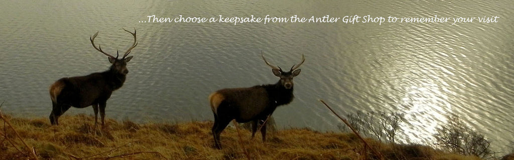 Ardnamurchan Natural History Visitor Centre